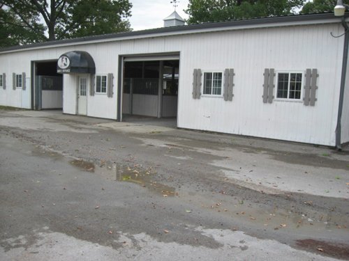 Property photo 25 - 80 Acres Offered in 4 Tracts - Horse Farm